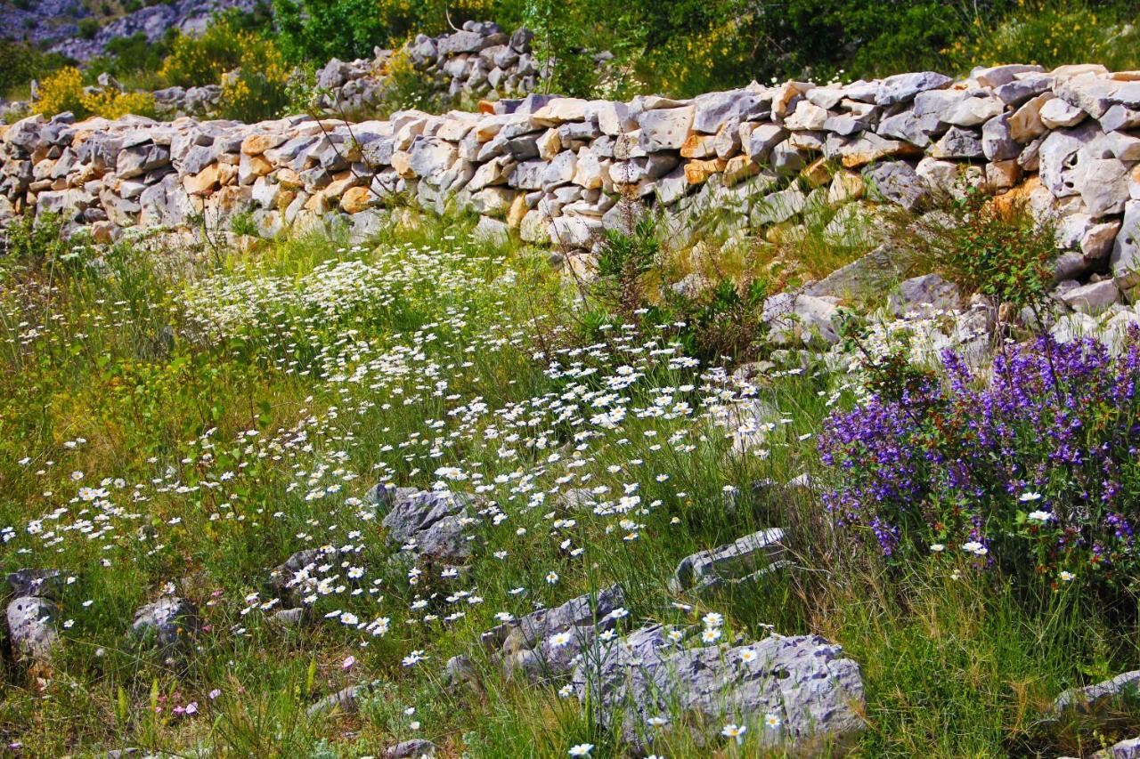 Villa Zlatno Sunce In The Hills Near Trogir Vrsine Eksteriør bilde