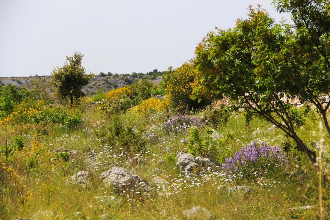 Villa Zlatno Sunce In The Hills Near Trogir Vrsine Eksteriør bilde