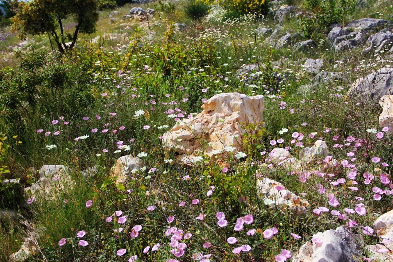 Villa Zlatno Sunce In The Hills Near Trogir Vrsine Eksteriør bilde